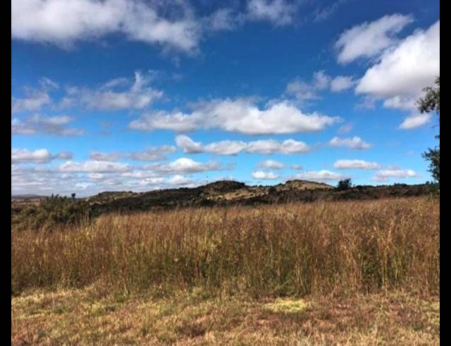 LAND FOR SALE IN BERG EN DAL